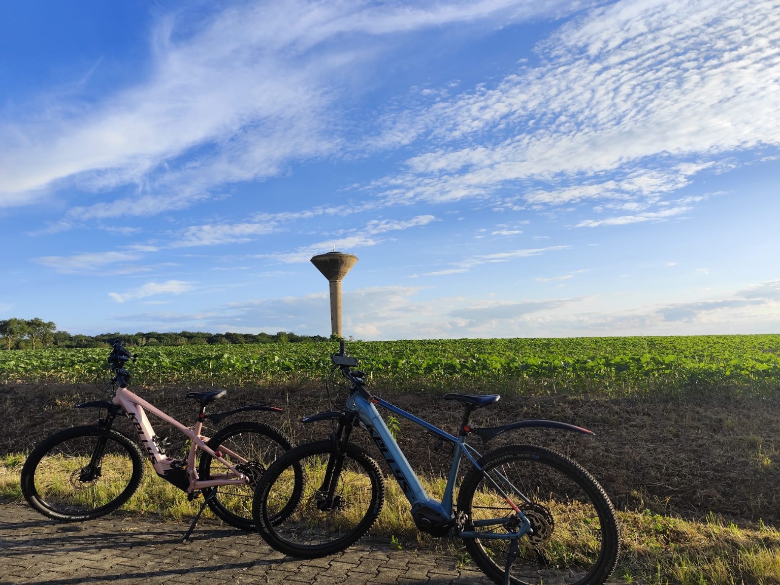 Radtour am Wasserturm